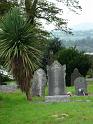 New Ross - 077